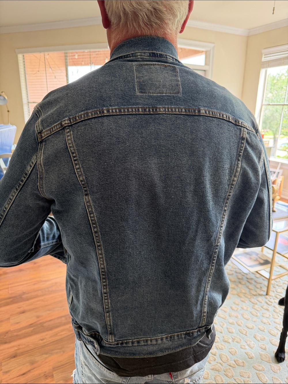 Classic Blue Denim Jacket - Men's Casual Trucker Jacket - Picture 3 of 4